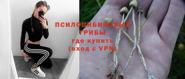 Альфа ПВП Алексеевка