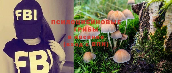 эйфоретик Алексин