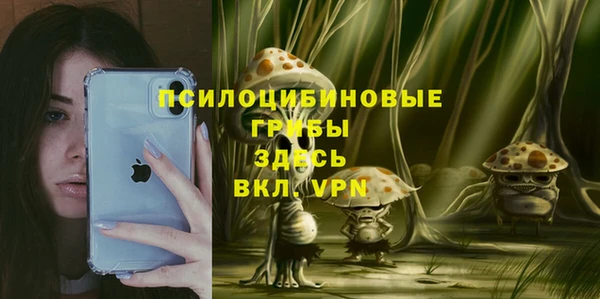 эйфоретик Алексин