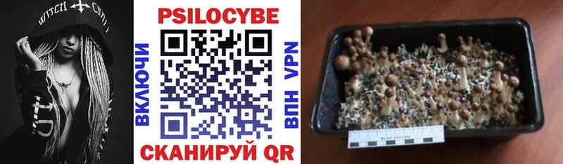 купить   hydra как зайти  Псилоцибиновые грибы мухоморы  Костерёво 